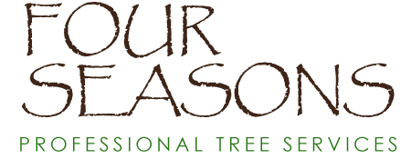 Four Seasons Tree Services