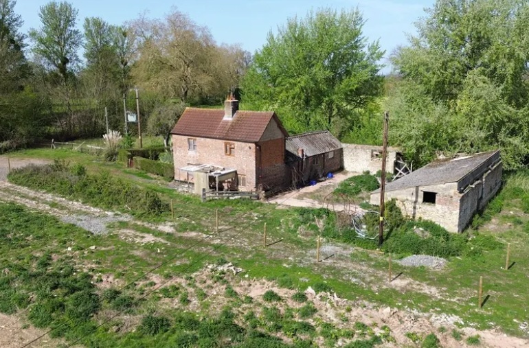 green land with trees with barns